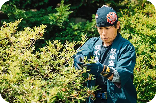 丁寧な仕事と分かりやすい説明