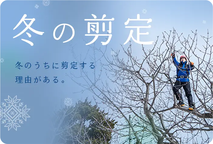 冬の剪定 アイコン