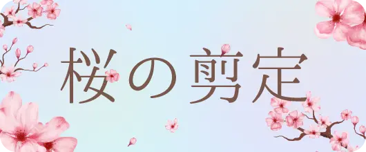 桜の剪定