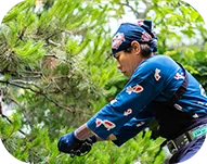 出張剪定講習・お庭の管理アドバイス